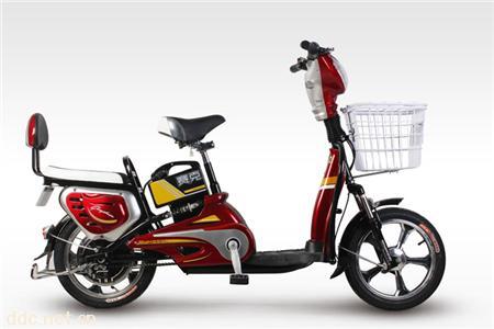  赛克电动车靓雅-N1